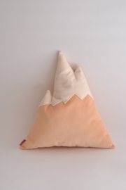 Bergkussen  | zalm